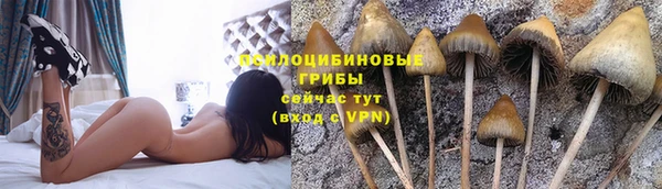 а пвп мука Армянск